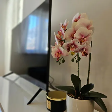 Marevic Apartment *